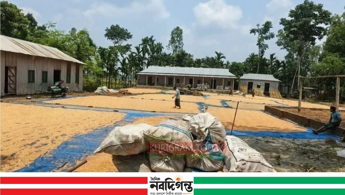 বন্ধ মাদ্রাসায় ধান-ভুট্টা শুকানো হচ্ছে, শিক্ষার অধিকার হারাচ্ছে চরাঞ্চলের শিশুরা