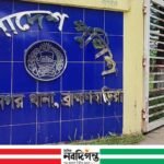 নাসিরনগরে চাচার ছোড়া ঢিলে ভাতিজির মৃত্যু