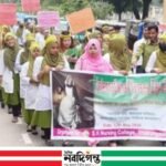 ঠাকুরগাঁওয়ে নানা আয়োজনে আন্তর্জাতিক নার্স দিবস পালিত