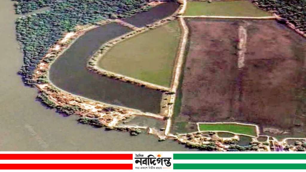 শ্যামনগরের গোলাখালীদ্বীপে "সুন্দরবন ইকোপার্ক" প্রতিষ্ঠায় নতুন সম্ভাবনার উন্মেষ