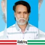 তদন্ত প্রতিবেদন ঘিরে আলোচনা, আদালতে জামিন পেলেন সাংবাদিক রেজা