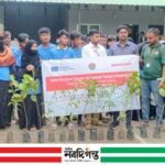 বিশ্ব পরিবেশ দিবস উপলক্ষে টেকনাফে পরিচ্ছন্নতা ও বৃক্ষরোপণ কর্মসূচি, শেষে সাংস্কৃতিক অনুষ্ঠান