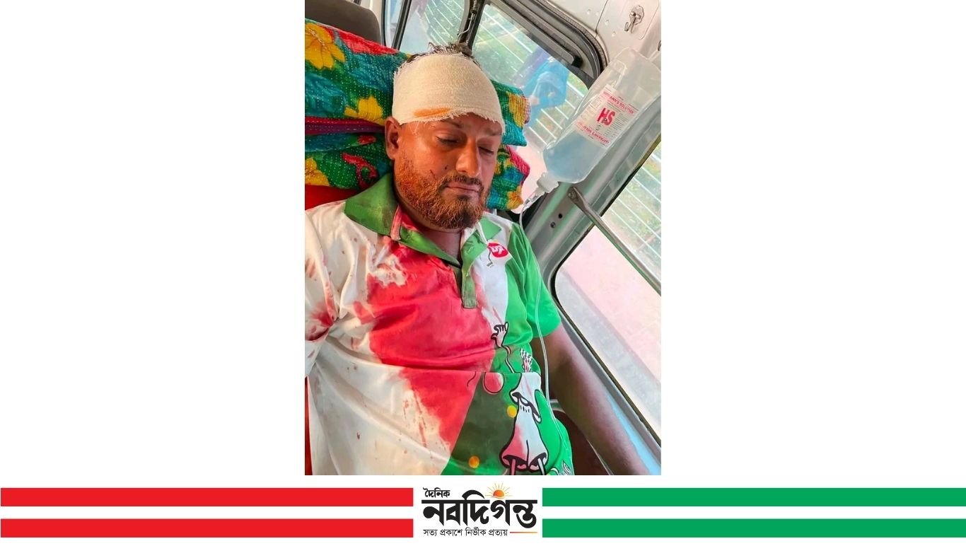 দুই ভাইয়ের বিরোধ নিষ্পত্তির সালিশে হামলা, আহত জামায়াত কর্মী