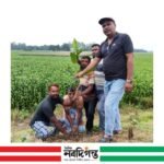 নলডাঙ্গায় তরুন দলের উদ্যোগে বৃক্ষরোপন কর্মসূচি পালন