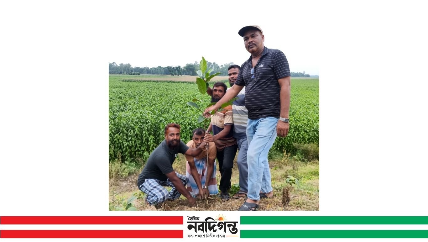 নলডাঙ্গায় তরুন দলের উদ্যোগে বৃক্ষরোপন কর্মসূচি পালন