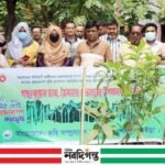 শেরপুরে বৃক্ষরোপণ কর্মসূচির উদ্বোধন, বিভিন্ন স্থানে রোপণ করা হলো শতাধিক চারা