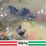 গোপালগঞ্জে নিখোঁজের তিন দিন পর যুবকের মরদেহ উদ্ধার, এলাকায় শোকের ছায়া