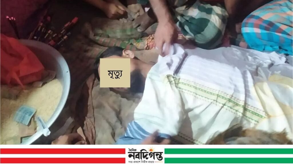 নাসিরনগরে অটোরিকশা চার্জ দিতে গিয়ে বিদ্যুৎস্পৃষ্ট হয়ে চালকের মৃত্যু