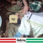 নাসিরনগরে অটোরিকশা চার্জ দিতে গিয়ে বিদ্যুৎস্পৃষ্ট হয়ে চালকের মৃত্যু