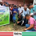 প্রধানমন্ত্রী তারেক রহমানের উদ্যোগে কটিয়াদীতে বৃক্ষরোপণ কর্মসূচির উদ্বোধন