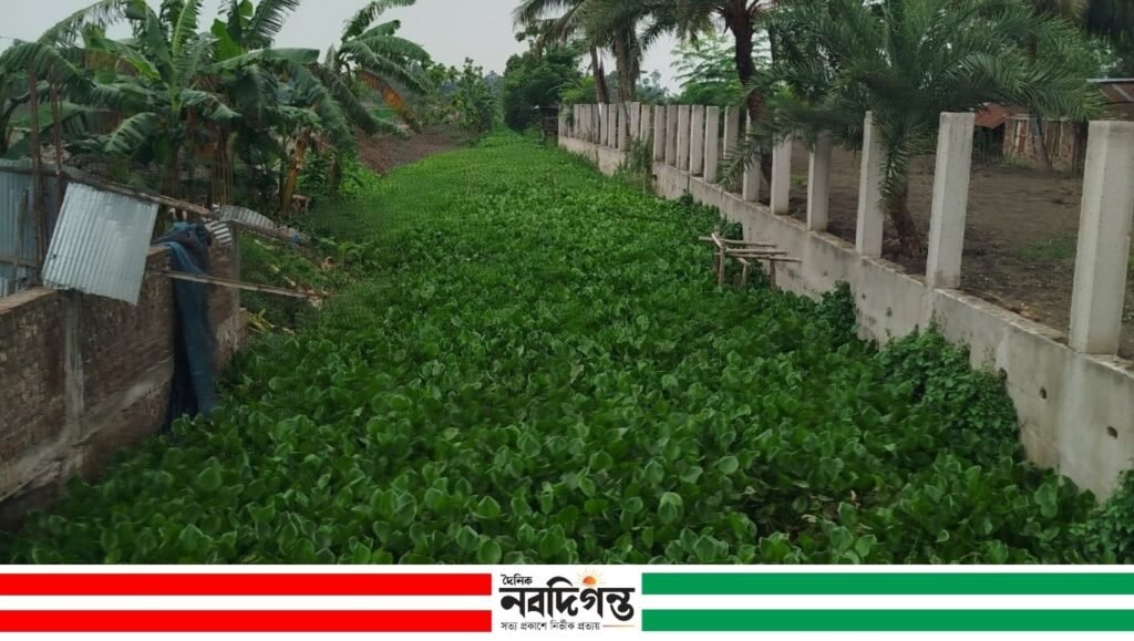 তিন কিলোমিটার খাল ভরাটে চাঁচড়া ইউপির ১০ গ্রামের ফসল ডুবির দুশ্চিন্তায় কৃষক