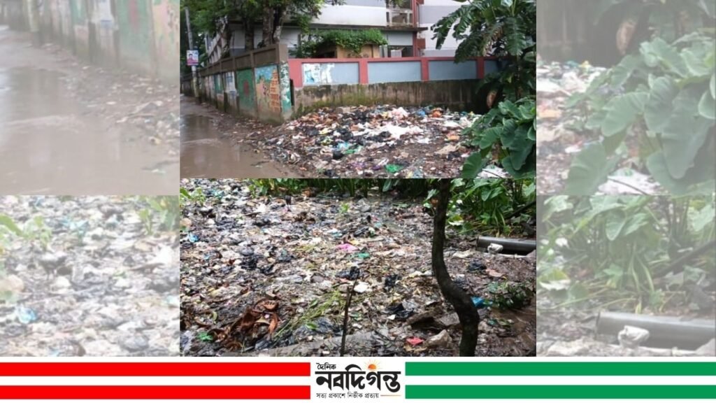 নাসিরনগরের সড়কের পাশে ময়লার স্তূপ, দুর্গন্ধে বাড়ছে জনদুর্ভোগ নাসিরনগরের সড়কের পাশে ময়লার স্তূপ, দুর্গন্ধে বাড়ছে জনদুর্ভোগ