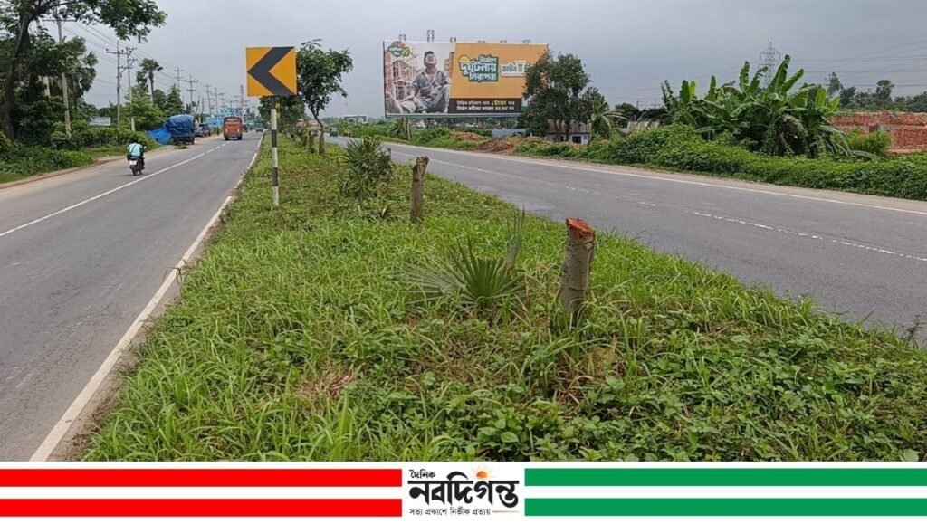 চৌদ্দগ্রামে বিলবোর্ড দৃশমান করতে মহাসড়কের ২৫টি গাছ কেটে ফেলেছে দূর্বৃত্তরা চৌদ্দগ্রামে বিলবোর্ড দৃশমান করতে মহাসড়কের ২৫টি গাছ কেটে ফেলেছে দূর্বৃত্তরা