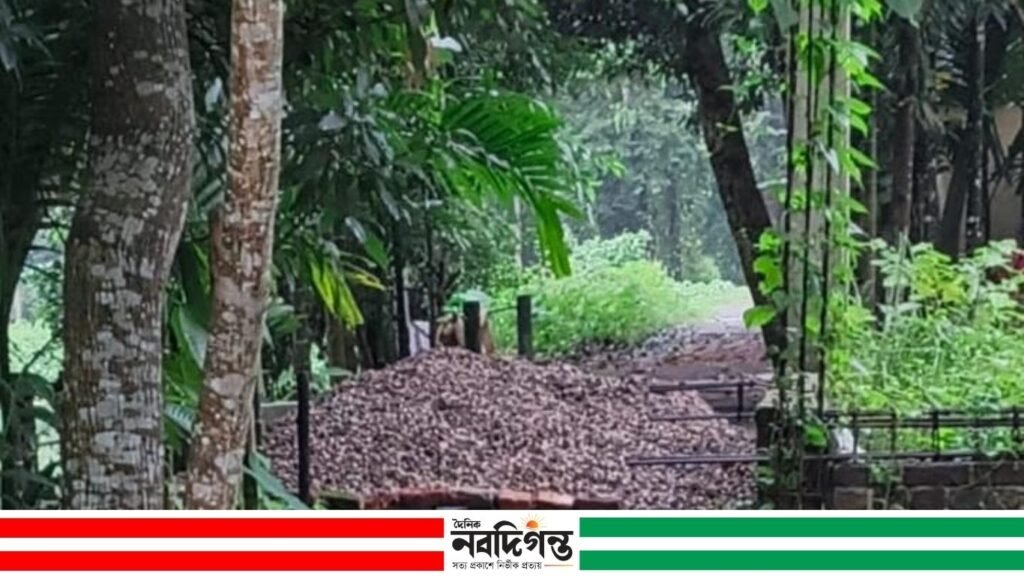 বিশ্বনাথে সরকারি রাস্তা বন্ধের অভিযোগ, দুর্ভোগে মসজিদ ও বিদ্যালয়গামী মানুষ