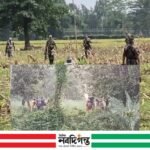 ঠাকুরগাঁওয়ের হরিপুর সীমান্তে ১১ জনের অবৈধ অনুপ্রবেশের চেষ্টা ব্যর্থ করল বিজিবি