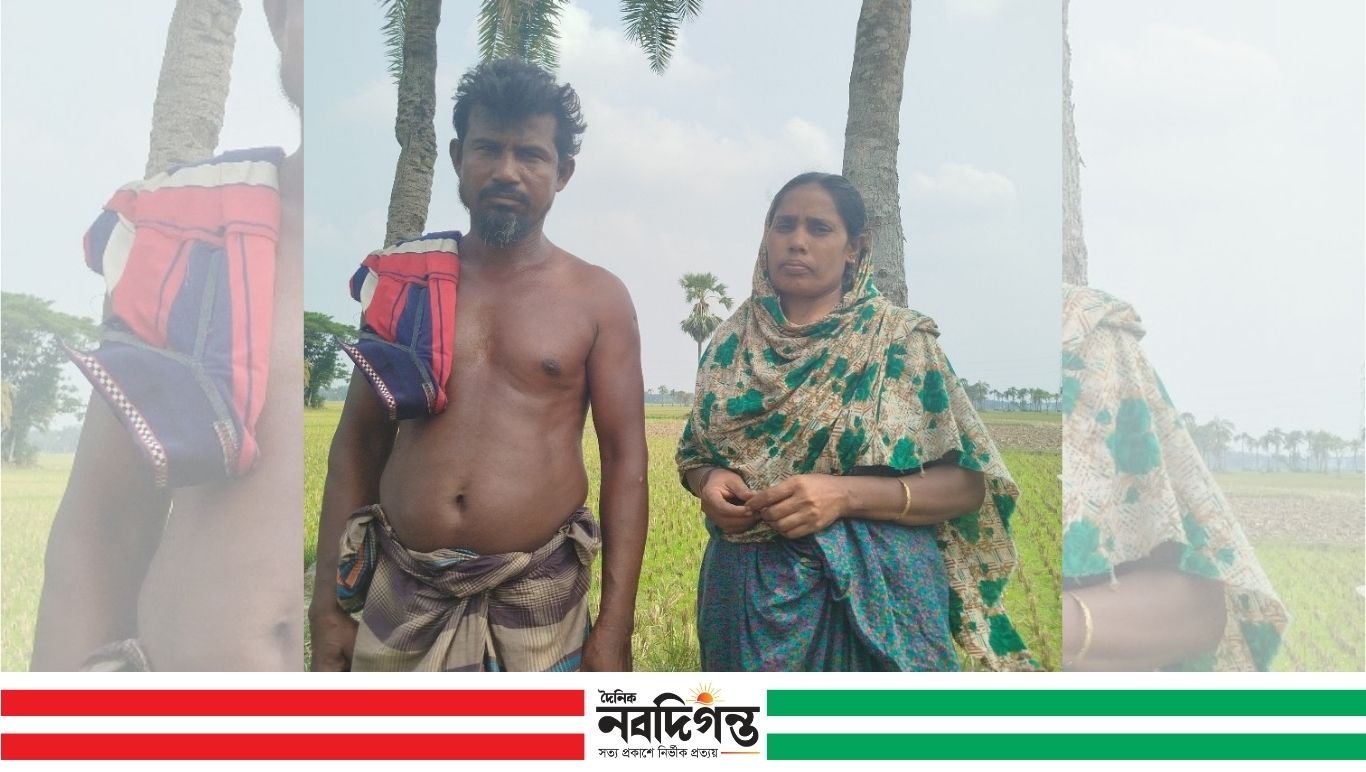 সন্ত্রাসীদের ভাড়া করে সাবেক শশুর বাড়ির ক্ষতি, শশুর ও শাশুড়ি আহত