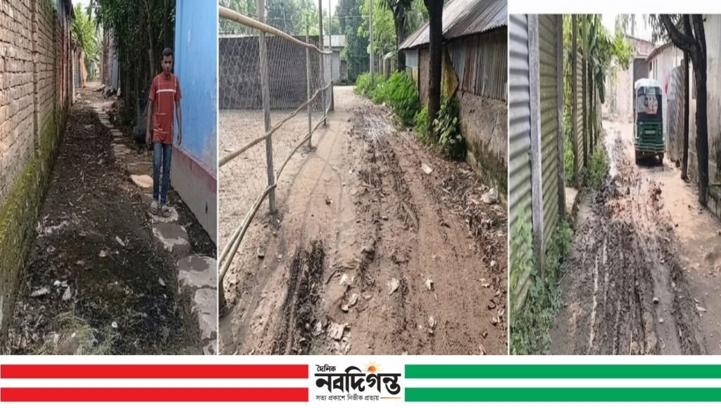 কটিয়াদী পৌরসড়কের বেহাল দশায় দুর্ভোগ 1 কটিয়াদী পৌরসড়কের বেহাল দশায় দুর্ভোগ