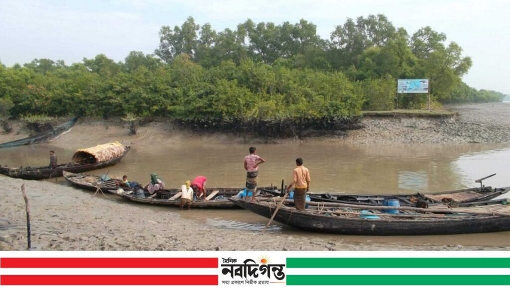 বন রক্ষার উদ্যোগে কর্মহীন জেলে-বাওয়ালি, সহায়তার দাবি 1 বন রক্ষার উদ্যোগে কর্মহীন জেলে-বাওয়ালি, সহায়তার দাবি