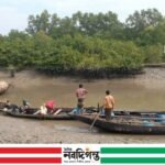বন রক্ষার উদ্যোগে কর্মহীন জেলে-বাওয়ালি, সহায়তার দাবি