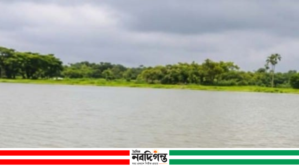 হরিহরনগর বাওড়ের দখল, মাছকে নিধন এবং প্রাণনাশের সংকট