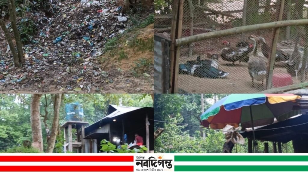 সংরক্ষিত বনে অবৈধ দখল: হুমকিতে পরিবেশ ও বন্যপ্রাণী, অভিযোগ বাণিজ্যের
