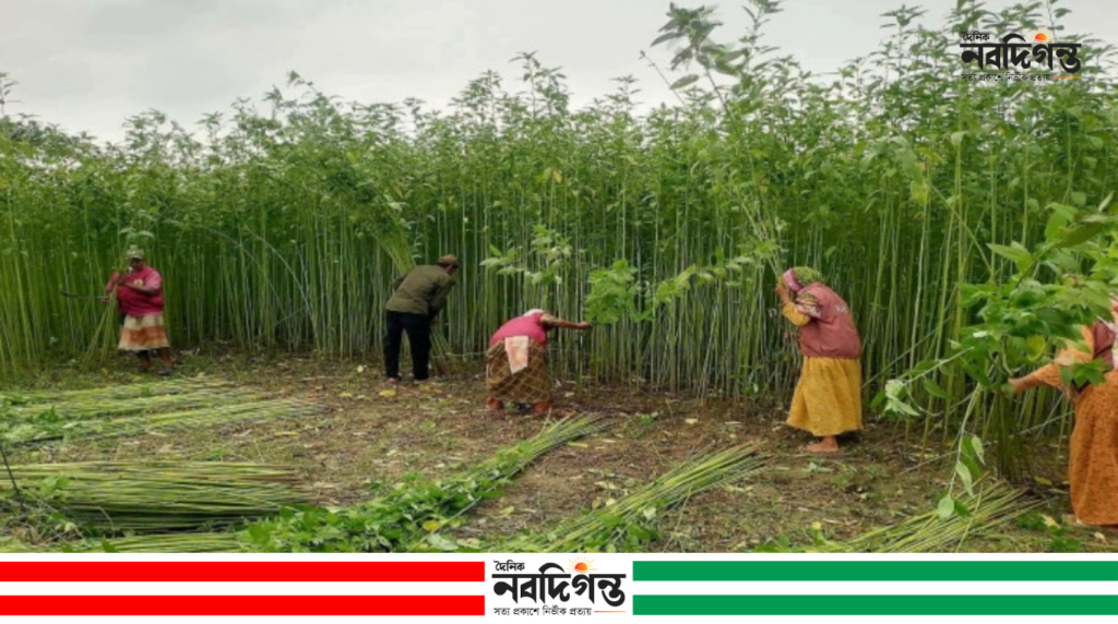 ঠাকুরগাঁওয়ে অসহায় কৃষক পরিবারের পাশে আনসার-ভিডিপি