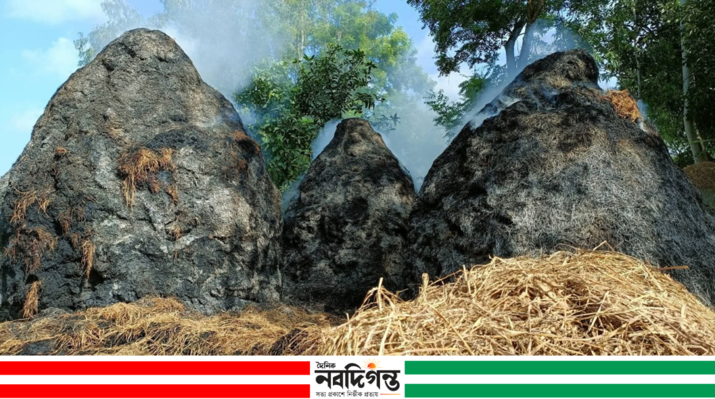 ভোররাতে সিংড়ায় স্কুল দপ্তরীর খড়ের পালায় আগুন, লাখ টাকার ক্ষতি