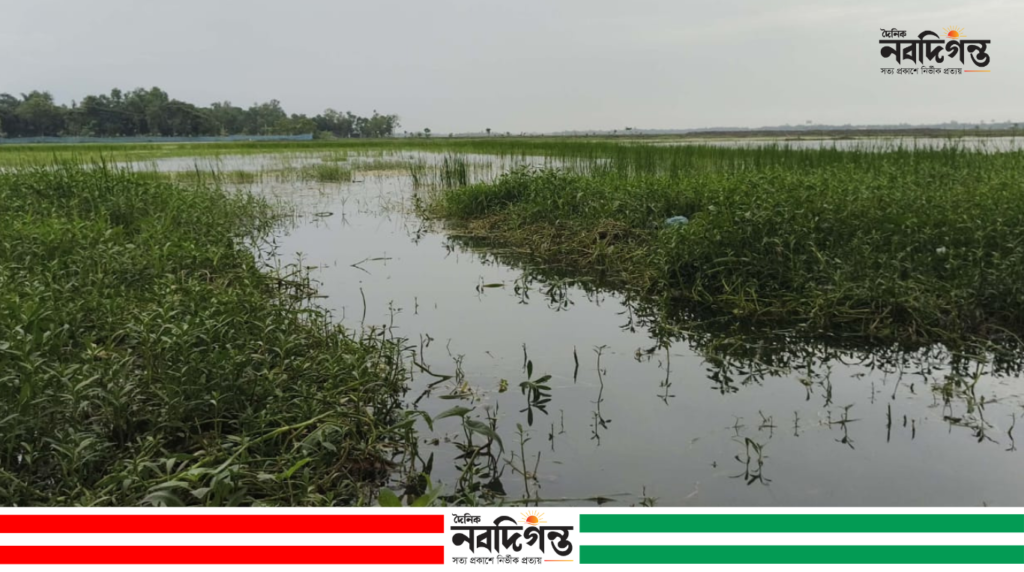 শ্যামনগরের ভেটখালী বিলে জলাবদ্ধতা, ধান রোপণে অনিশ্চয়তায় কৃষক