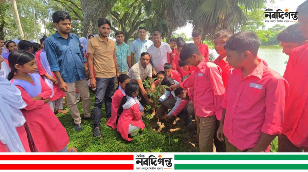 সিংড়ায় ক্ষিদ্রবড়িয়া স্কুলে বৃক্ষরোপণ কর্মসূচি অনুষ্ঠিত