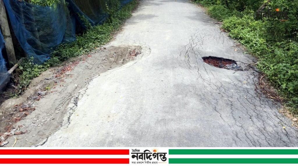 শ্যামনগরে কার্পেটিং রাস্তা ছিদ্র করে পাইপ স্থাপনের অভিযোগ