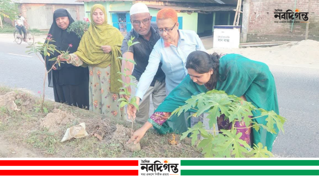 ঠাকুরগাঁওয়ে ডিভাইডারে দুই শতাধিক ফুলগাছ রোপণ