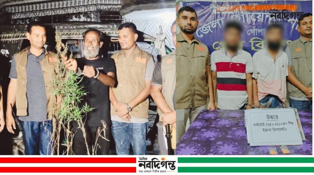 গোপালগঞ্জে গাঁজা গাছ চাষের অভিযোগে ইমামুল গ্রেপ্তার