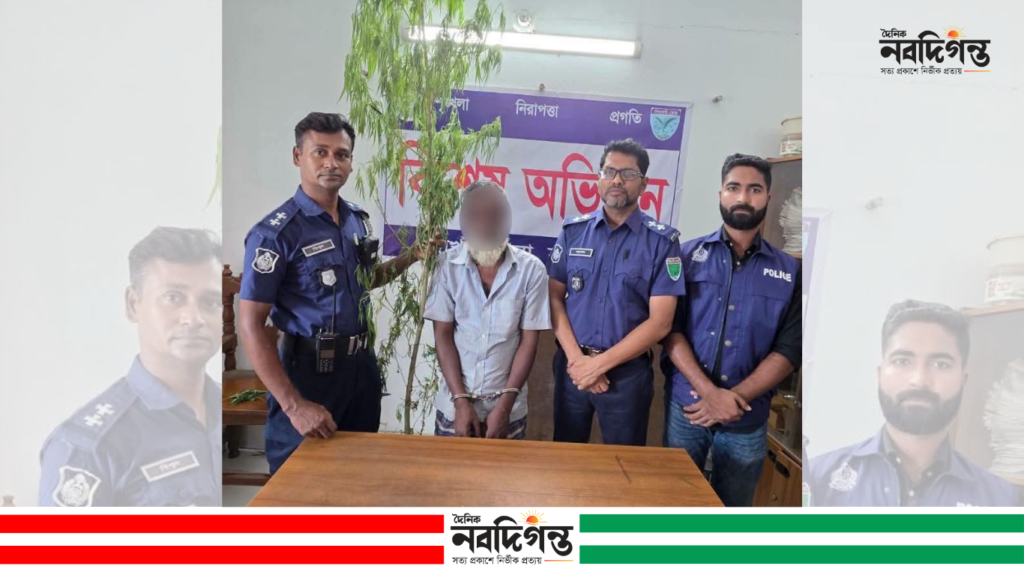 হবিগঞ্জের লাখাইয়ে গাজার গাছসহ ব্যবসায়ী গ্রেফতার