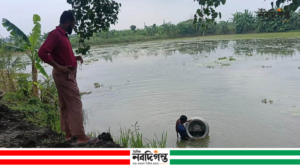 বালিয়াকান্দিতে মিশ্র মৎস্য ও ফসল চাষে সফলতার স্বপ্ন কৃষক নিজামুদ্দিনের