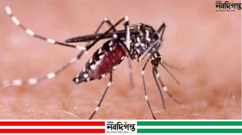কয়রায় ডেঙ্গুর প্রকোপ, হাসপাতালে ভর্তি ৫ রোগী