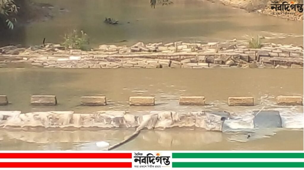 করাঙ্গীর ‘মরা তিমি’ ৩ কোটি টাকার রাবারড্যাম