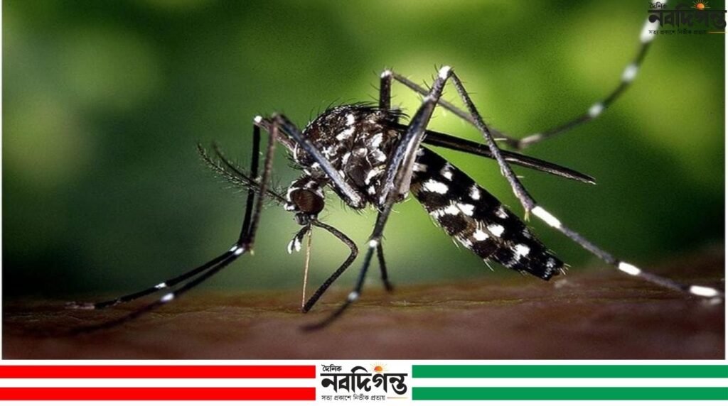 ডেঙ্গুতে একদিনে ৬ মৃত্যু, হাসপাতালে ভর্তি ১,৫৬১ জন