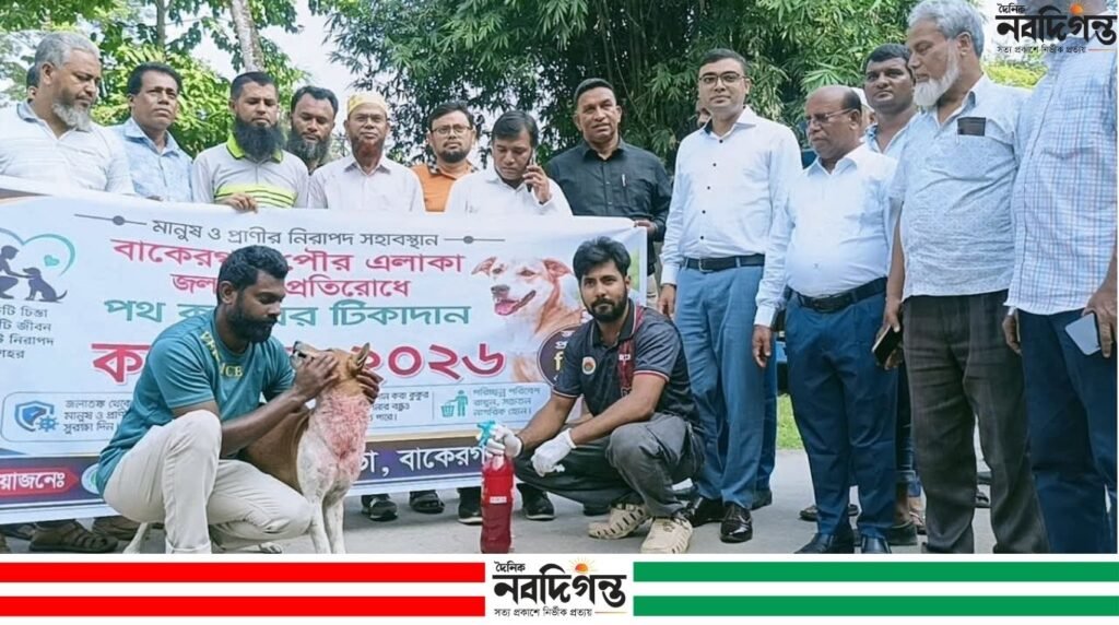 বাকেরগঞ্জ পৌরসভায় পথ কুকুরকে জলাতঙ্ক টিকা কার্যক্রম শুরু বাকেরগঞ্জ পৌরসভায় পথ কুকুরকে জলাতঙ্ক টিকা কার্যক্রম শুরু